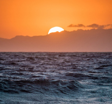 Agencja Marketingowa Ozon